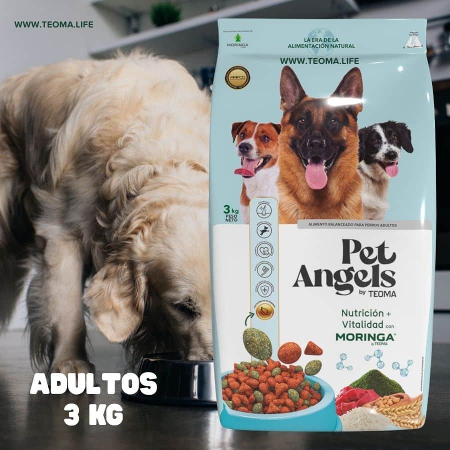 Pet Angels 🐶 Comida para Perros